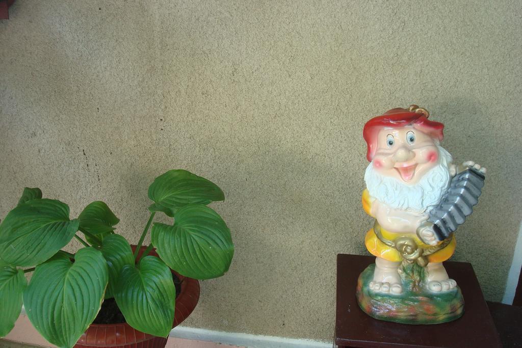 Usadba Chayka Otel Kurortne  Dış mekan fotoğraf